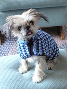 A sweater for sleeping