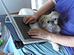 Abby's favourite spot when her mom is working on her laptop.
