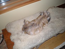 Abby5 Jan07