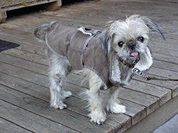 Abbysheepskincoat
