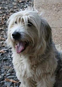 Baxter