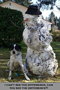 Ellasnowman
