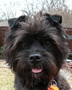 Fergus5