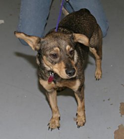 Hanna shelter