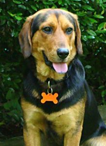 Harlan