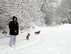 Milosnow1