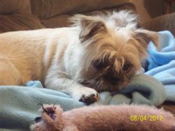 Murphy5