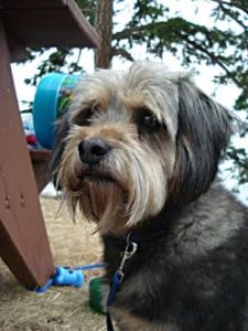 Oliver