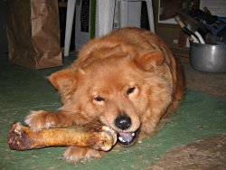 Love those bones