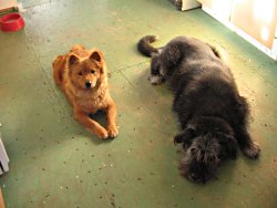 With her big brother Yves