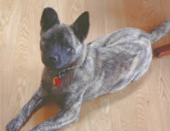 smudge3